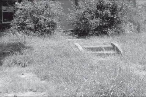 Article Image Alt Text