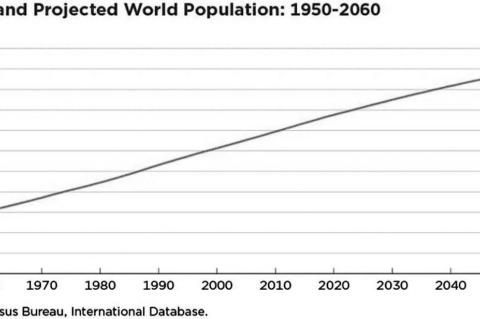 World Population Estimated at 8 Billion