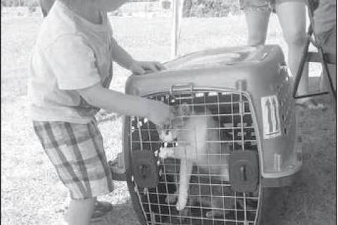 Article Image Alt Text