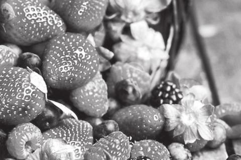 Are Backyard Birds Right for You?