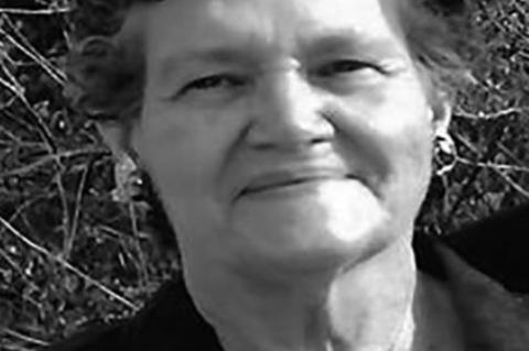 Article Image Alt Text