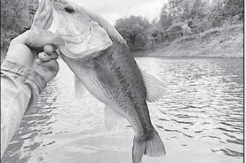 Latest Oklahoma Fishing Report for December 31, 2025