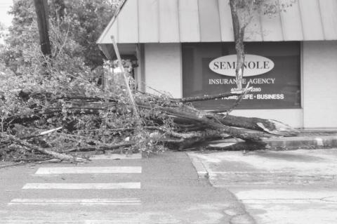 Photos by Bob Melton and Zane Feken