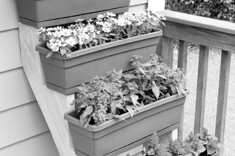 Healthy and Enjoyable: How to Garden in a Container