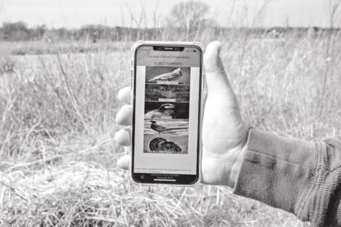 Wildlife Biologists Gain Valuable Information from Smartphone App