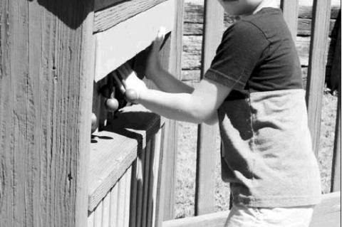 Article Image Alt Text