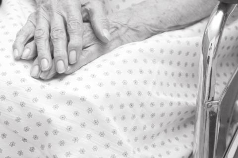 Article Image Alt Text