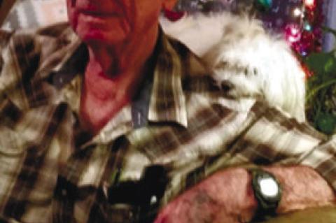 Article Image Alt Text