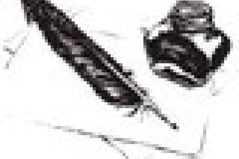 Childhood Treasures And Other Memories