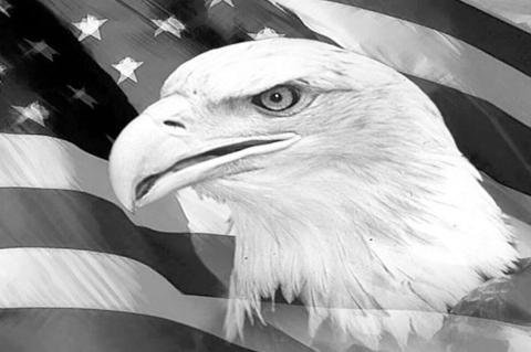 History 101: Independence Day