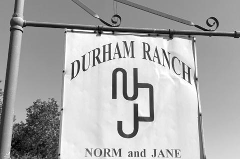 On The Auction Block