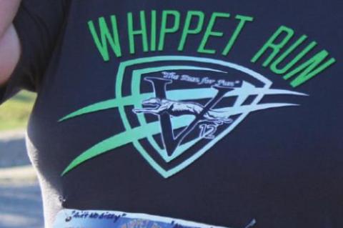 VARNUM HOSTS 12TH WHIPPET RUN FOR FUN