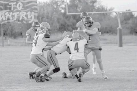 Article Image Alt Text