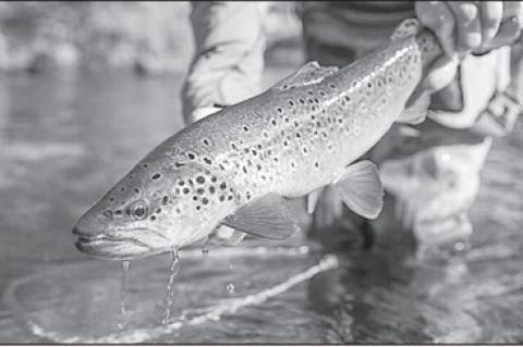 Latest Oklahoma Fishing Report for December 17, 2025