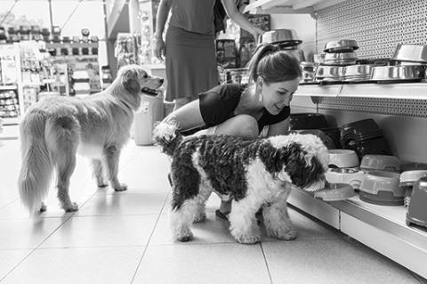 The Best Ways Dog Parents can Practice pet Etiquette