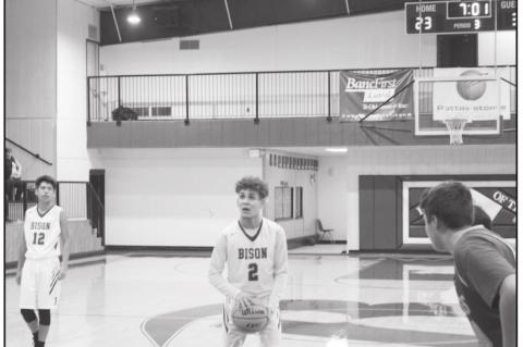 Bison Host Moss Pirates