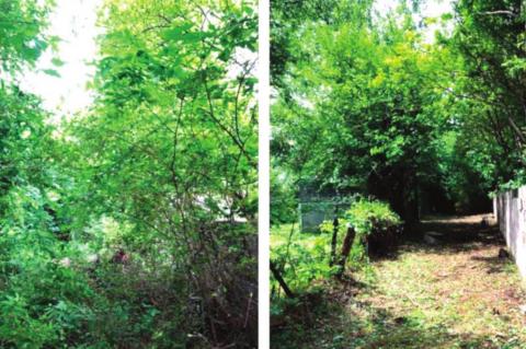 The Role Of Security Using Social Media