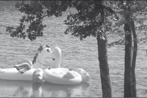 Article Image Alt Text