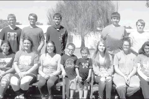 Article Image Alt Text