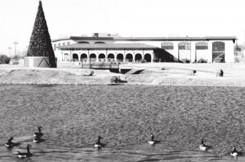 Snowman Wonderland...