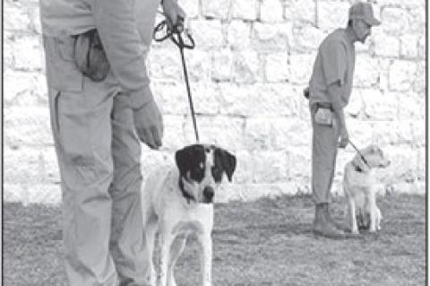 K9s For Warriors (ODOC photo)