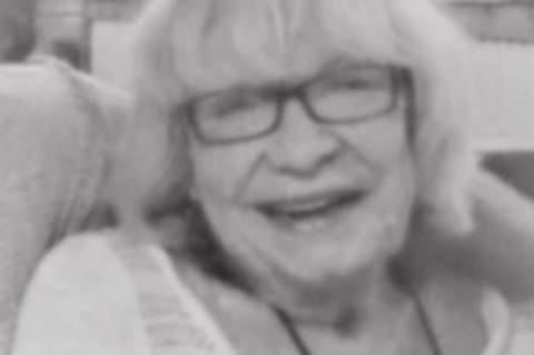 Article Image Alt Text