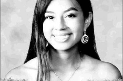 Article Image Alt Text