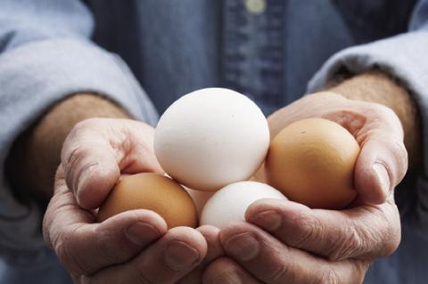 Alternatives Help Cooks Avoid Running 'Afowl' of Rising Egg Prices