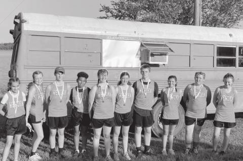 Article Image Alt Text