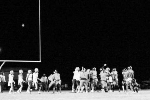 Article Image Alt Text