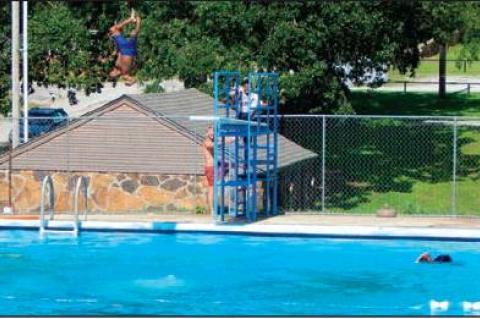 Article Image Alt Text