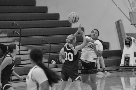 Varnum Lady Whippet Scrimmage