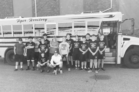 Article Image Alt Text