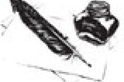 Delightful, Illuminating Flickering Fireflies