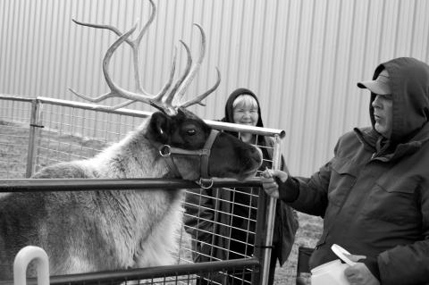 Main Street Transforms Into ChristmasVille