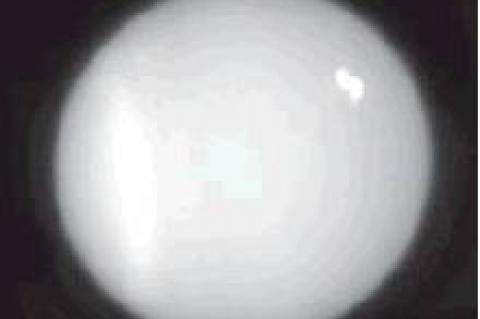 Article Image Alt Text