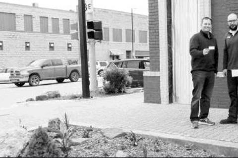 Article Image Alt Text