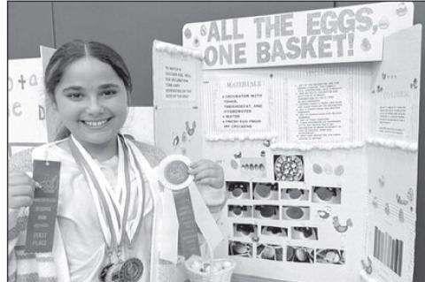 Article Image Alt Text