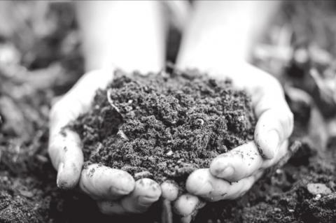 Festival to Highlight Benefits of Composting