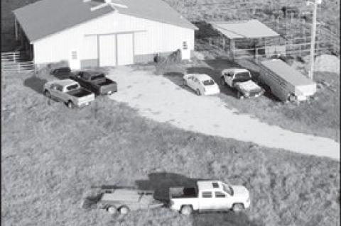 On The Auction Block