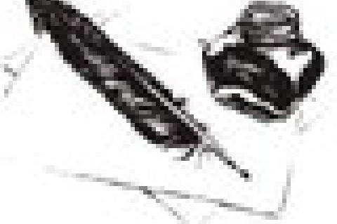 We Live Like We’ll be Here Forever And Ever