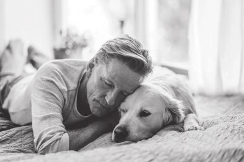 Amazing Benefits to Seniors Having Pets