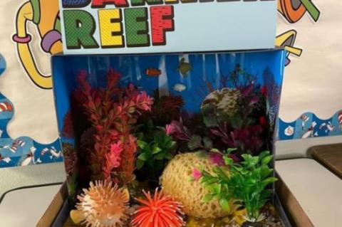 FIFTH GRADE CLASS CREATES ECOSYSTEM DIORAMAS