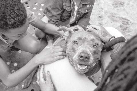 ew Dog Breed Study Could Have Far-Reaching Impacts in Animal Welfare, According to Best Friends Animal Society