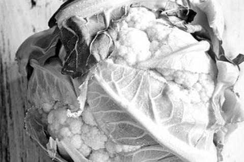 Growing Broccoli, Cauliflower And Cabbage