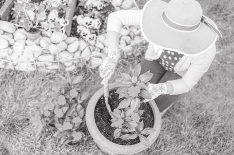 Protect Your Plants from Winter Weather