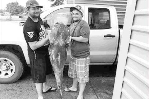 Article Image Alt Text