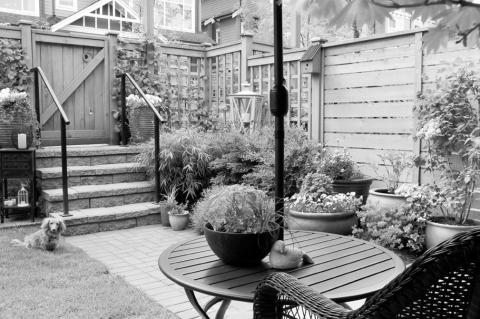 Master Backyarder Mindset: How to Backyard Big, Even in Small Spaces