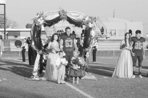 Article Image Alt Text