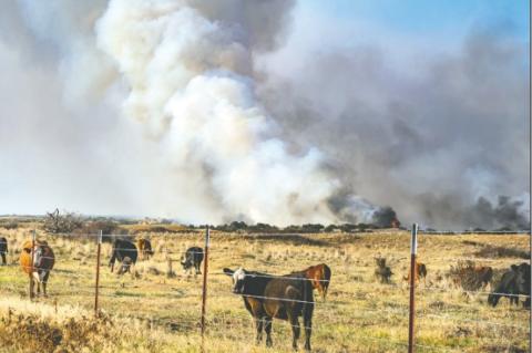 Brush up on Wildfire Plans During The Winds of March